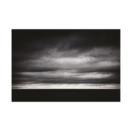 Trademark Fine Art Philippe Sainte Laudy 'More and More' Canvas Art, 30x47 PSL01337-C3047GG